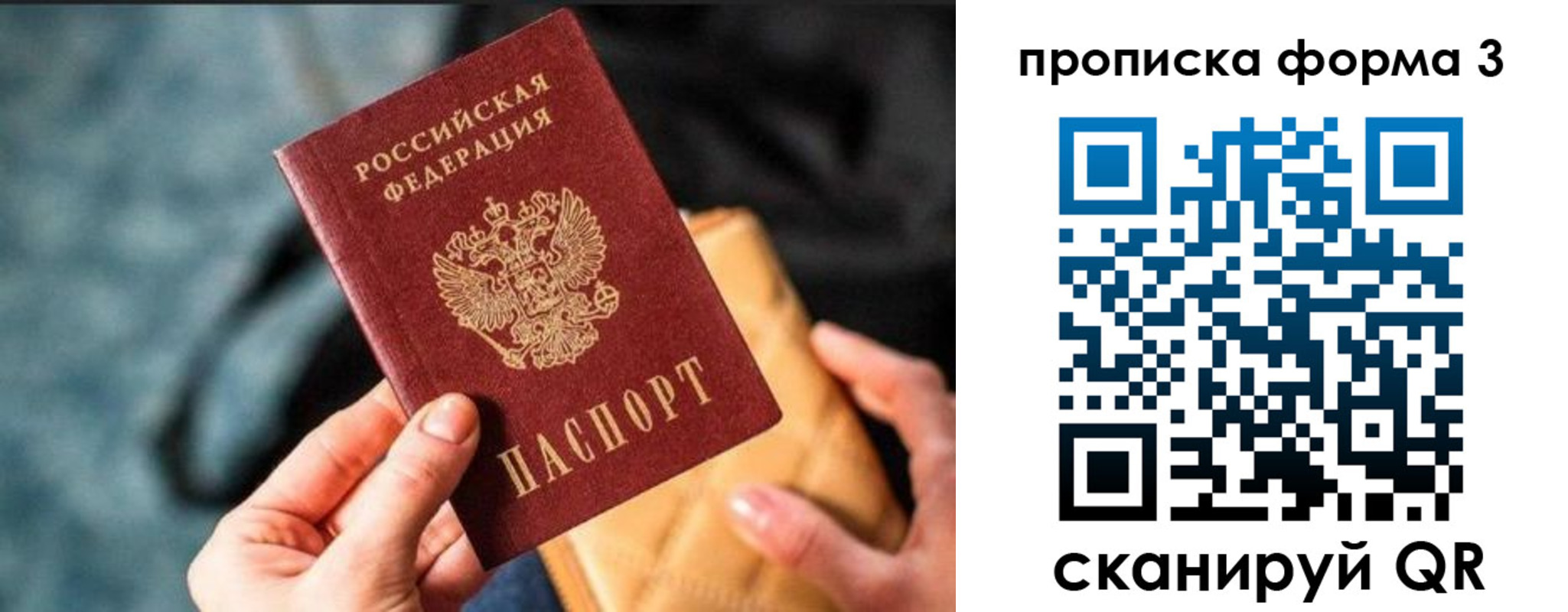 прописка гарантия в Трубчевске